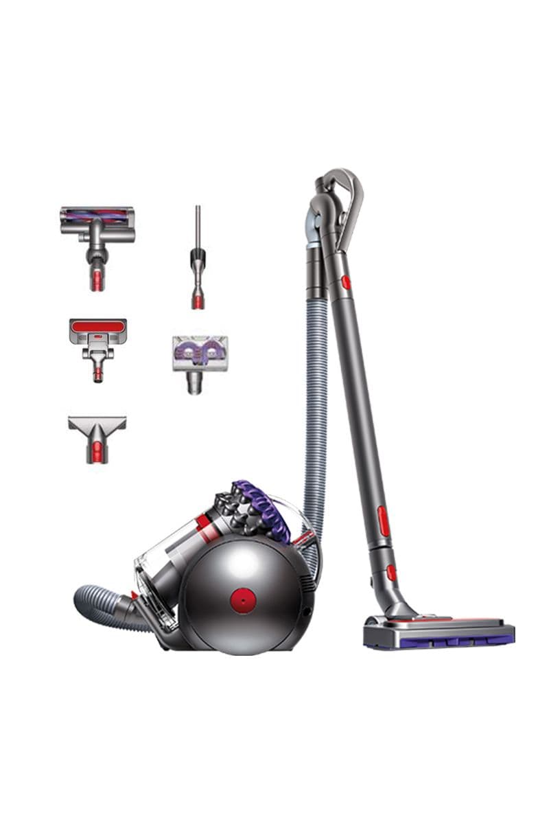 Dyson Ball Animal 3